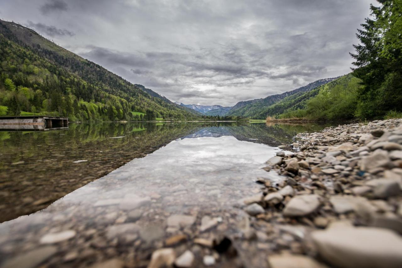 Hotel Fischerwirt Natur Waldspa Faistenau Exteriör bild