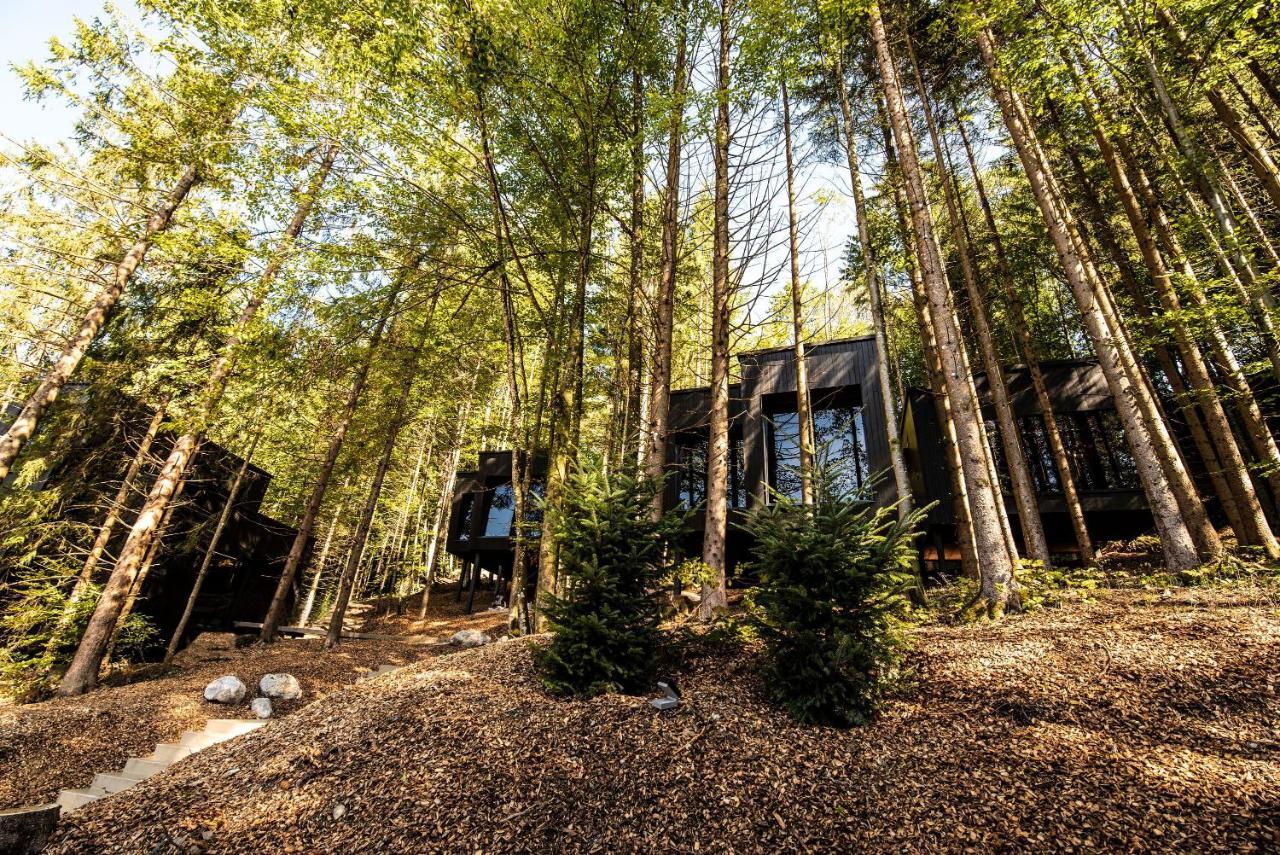 Hotel Fischerwirt Natur Waldspa Faistenau Exteriör bild