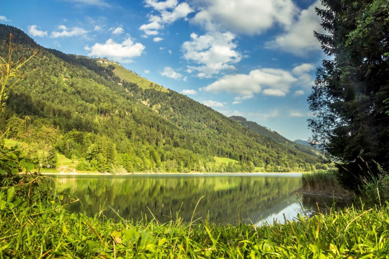 Hotel Fischerwirt Natur Waldspa Faistenau Exteriör bild