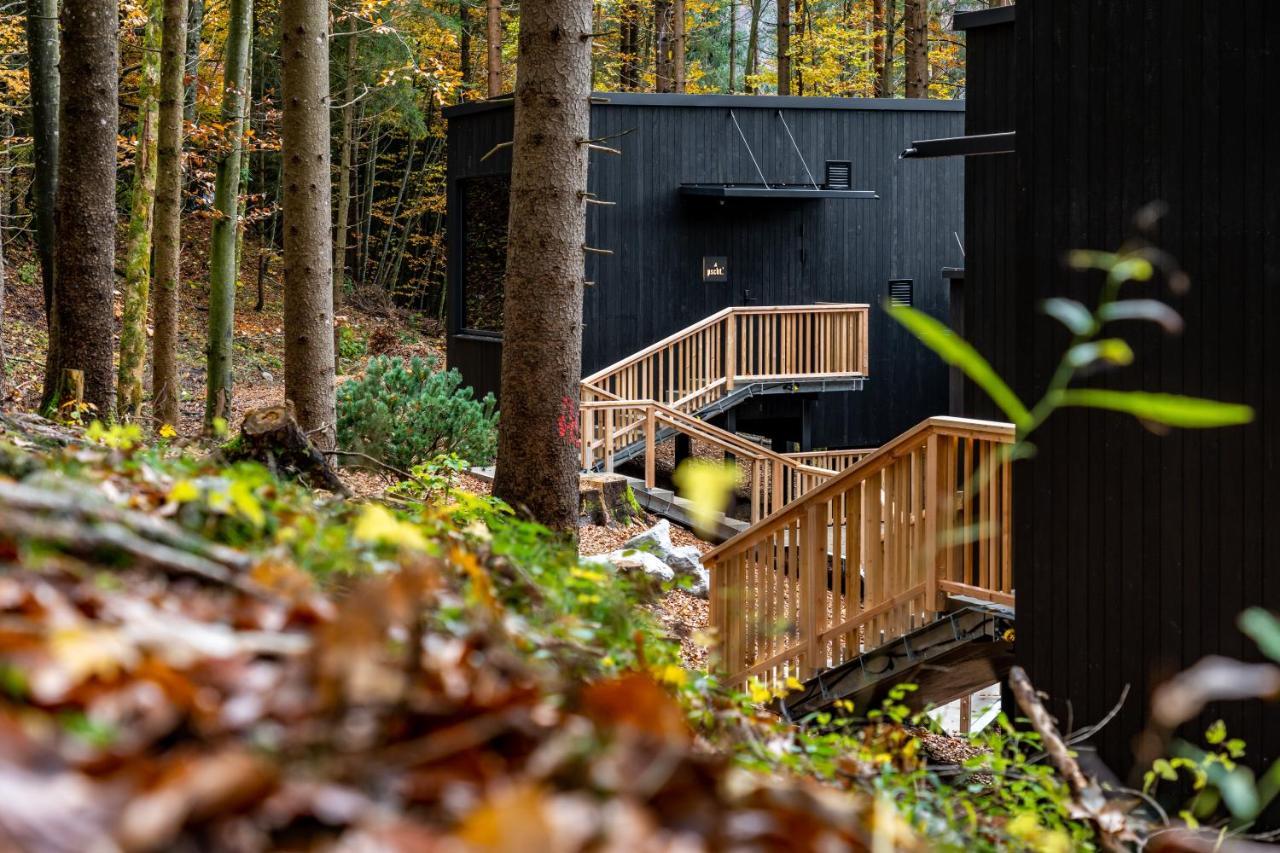 Hotel Fischerwirt Natur Waldspa Faistenau Exteriör bild